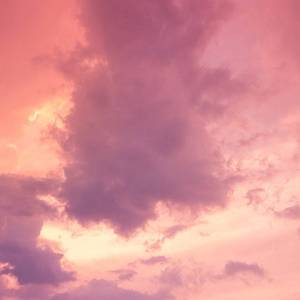 魅魔之耻1-3季在线观看
